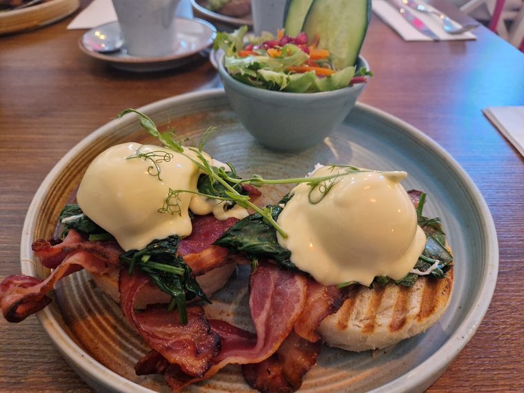 Poached eggs with hollandaise, bacon and spinach on a toasted muffin